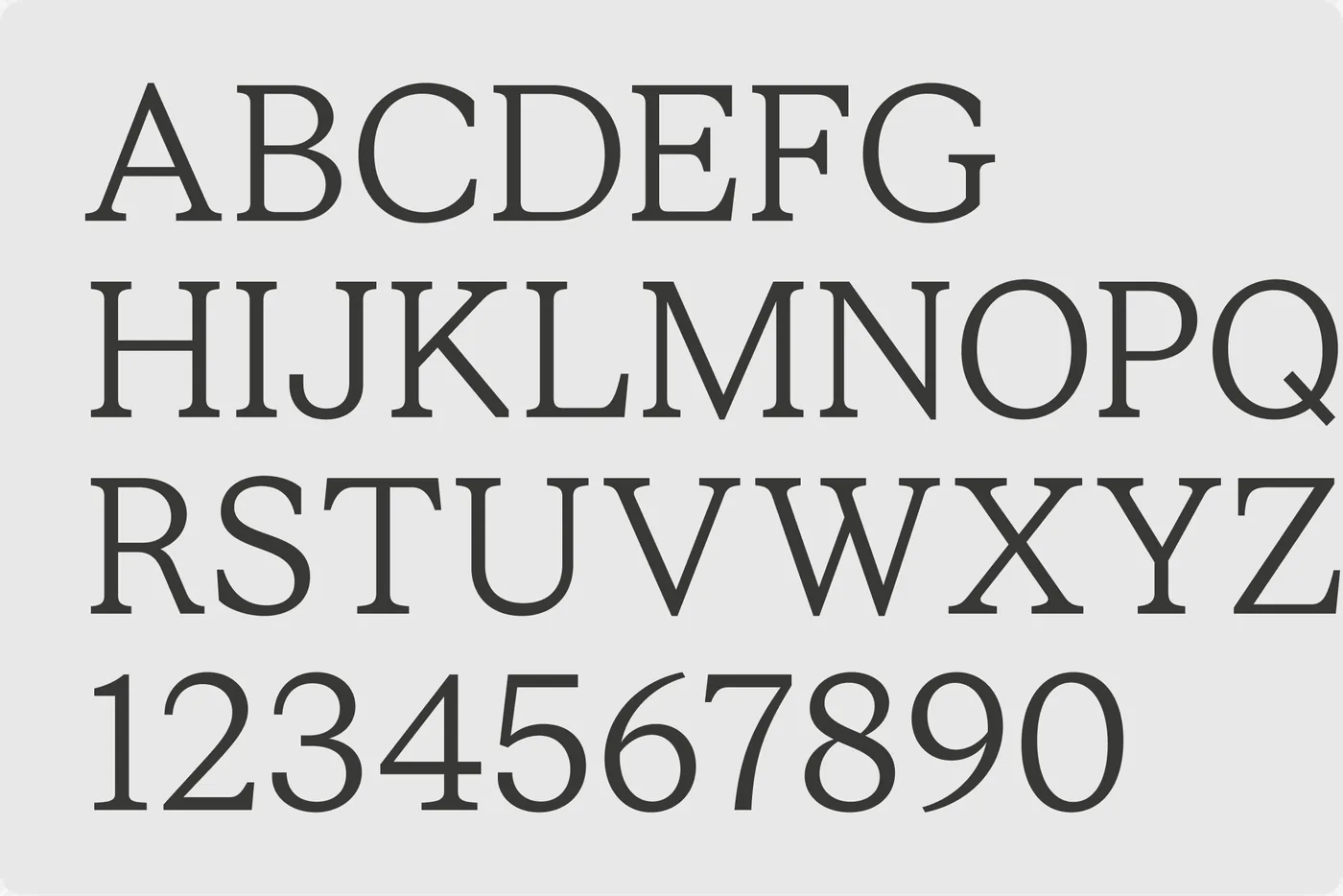 Specimen of the brand typeface