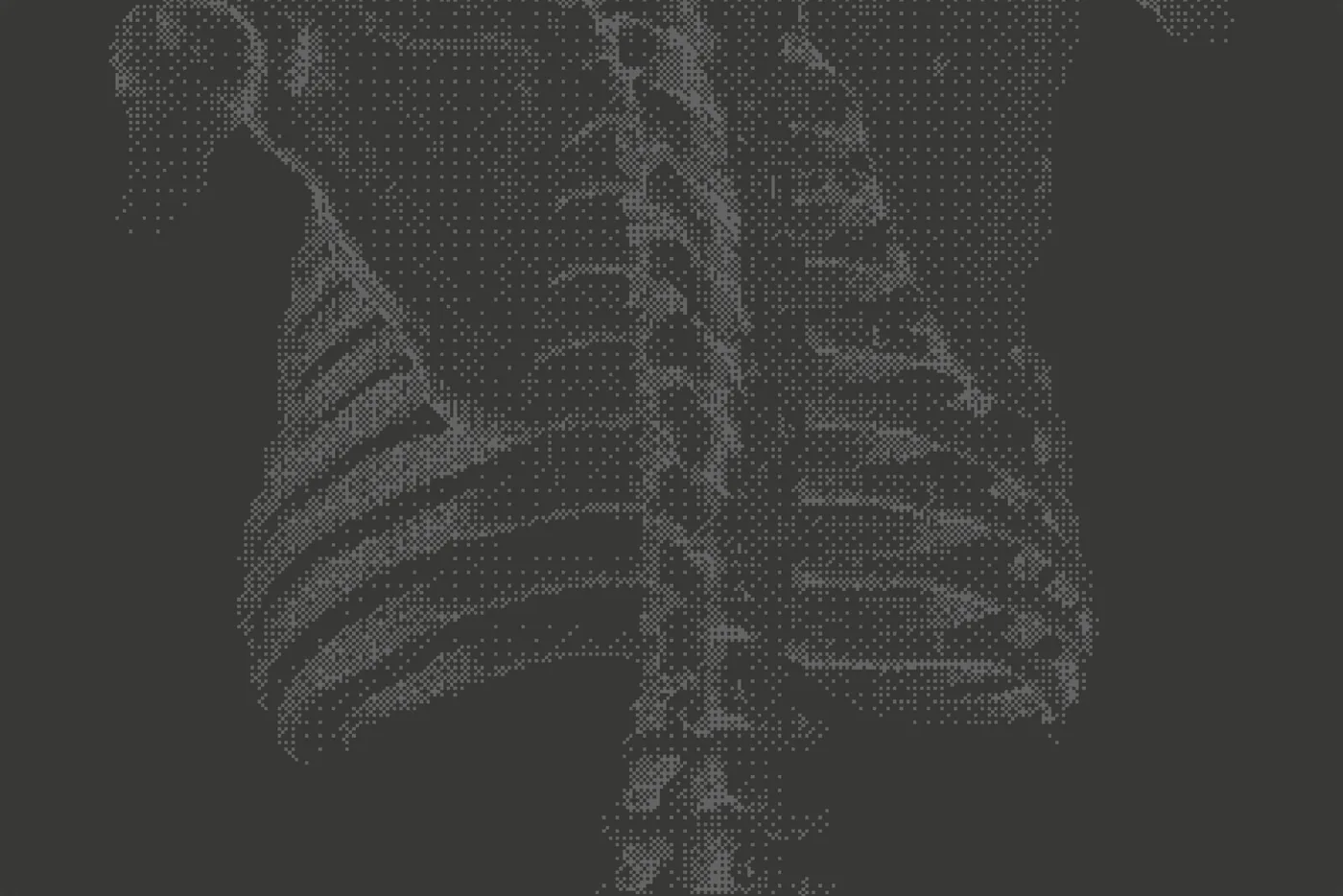 Spine illustration in the new brand style