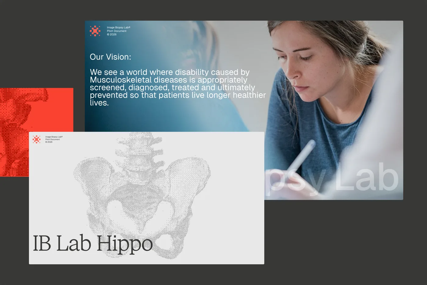 Brand page with a spine illustration and the IB Lab Hippo product name